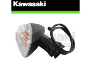 LAMP-ASSY-SIGNAL,RR,LH