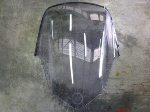 FZ1S kuipruit 2008