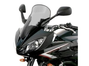 FZ6 Kuipruit  2008